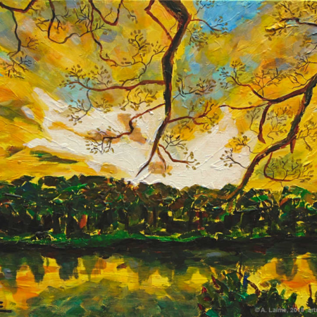 amazon sunset original painting