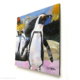 mini african penguins artprint 10x10cm