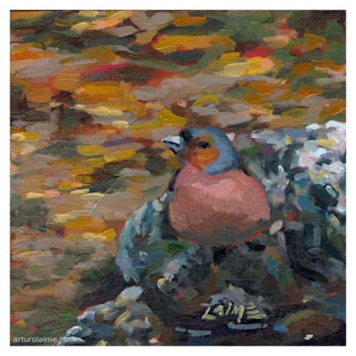 Robin in stream oil painting on panel
